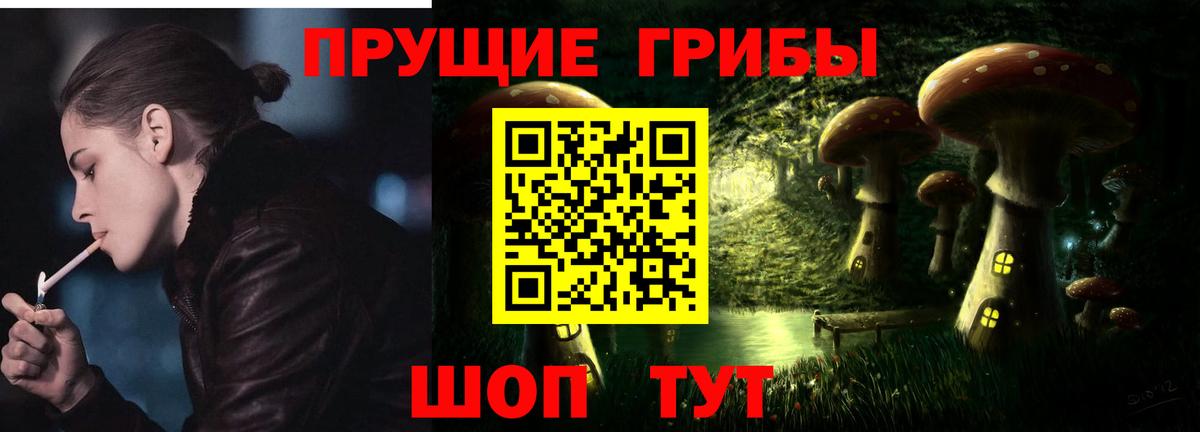 Урюпинск  Псилоцибиновые грибы прущие грибы  Вход с VPN  Галлюциногенные грибы Magic Shrooms 