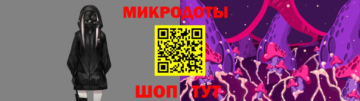 Галлюциногенные грибы Psilocybe Урюпинск
